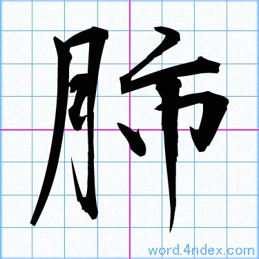 「肺」漢字書き方　かっこいい肺